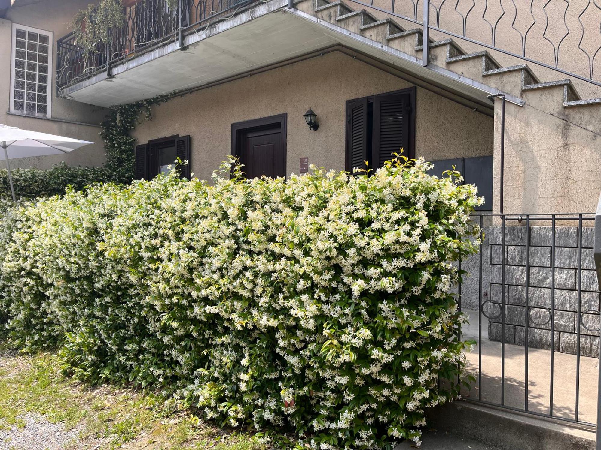 Il Cortile Como Single & Double Room In Apartment No Hotel Luaran gambar