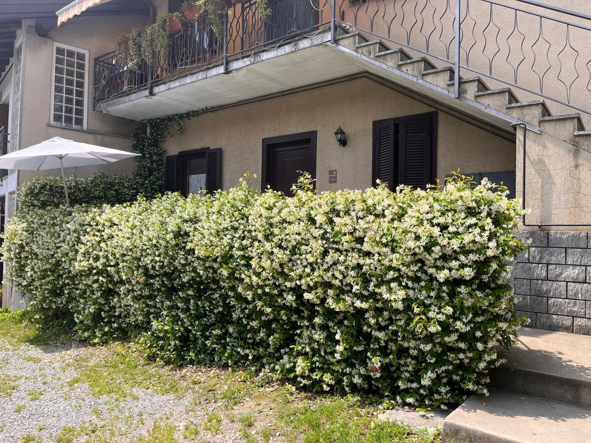 Il Cortile Como Single & Double Room In Apartment No Hotel Luaran gambar
